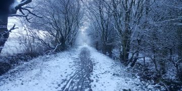 Winter-Sandy-Lane