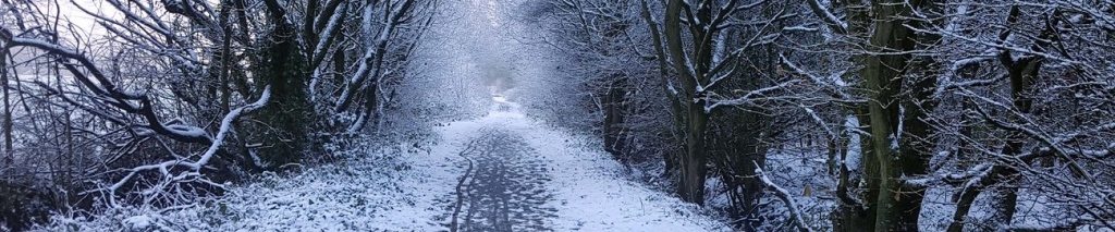 Sandy-Lane-Winter