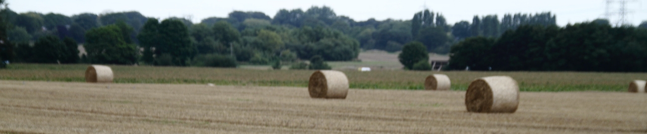 Hay-Bales1