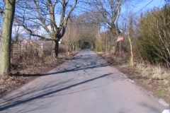 pex_hill_avenue