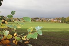 Cronton-Village-From-Pex-Hill