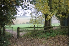 Kissing-gate-at-the-top-of-Pex-Hill-looking-East