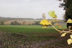 Looking-East-From-Pex-Hill