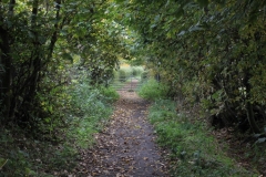 Right-of-way-from-Rainhill-near-Cronton-Hall