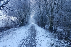 Winter-Sandy-Lane